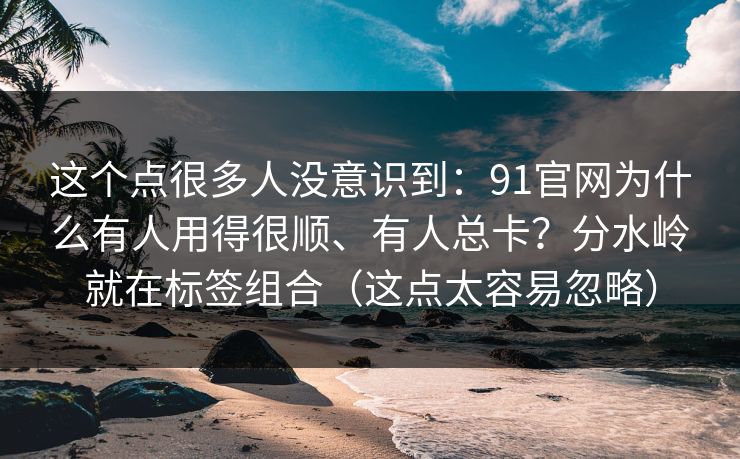 这个点很多人没意识到：91官网为什么有人用得很顺、有人总卡？分水岭就在标签组合（这点太容易忽略）
