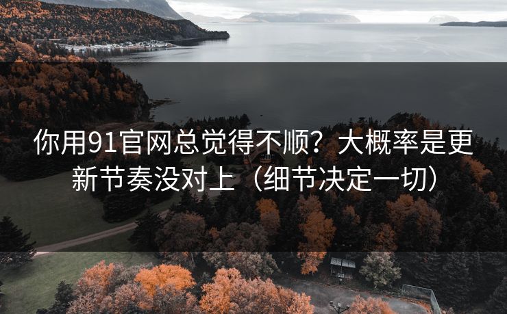 你用91官网总觉得不顺？大概率是更新节奏没对上（细节决定一切）